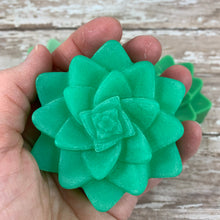 Cactus Soap Gift Set | Cactus Shaped Soaps | Gift for Her | Succulent Gift for Cactus Lover or Plant Lover