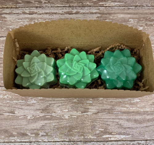 Cactus Soap Gift Set | Cactus Shaped Soaps | Gift for Her | Succulent Gift for Cactus Lover or Plant Lover