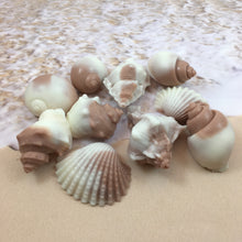 Shell Shaped Soap | 6 Shell Soaps | Shell Soap Set