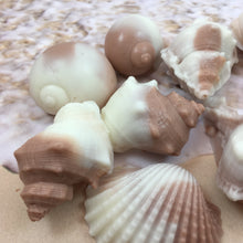 Shell Shaped Soap | 6 Shell Soaps | Shell Soap Set