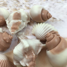 Shell Shaped Soap | 6 Shell Soaps | Shell Soap Set