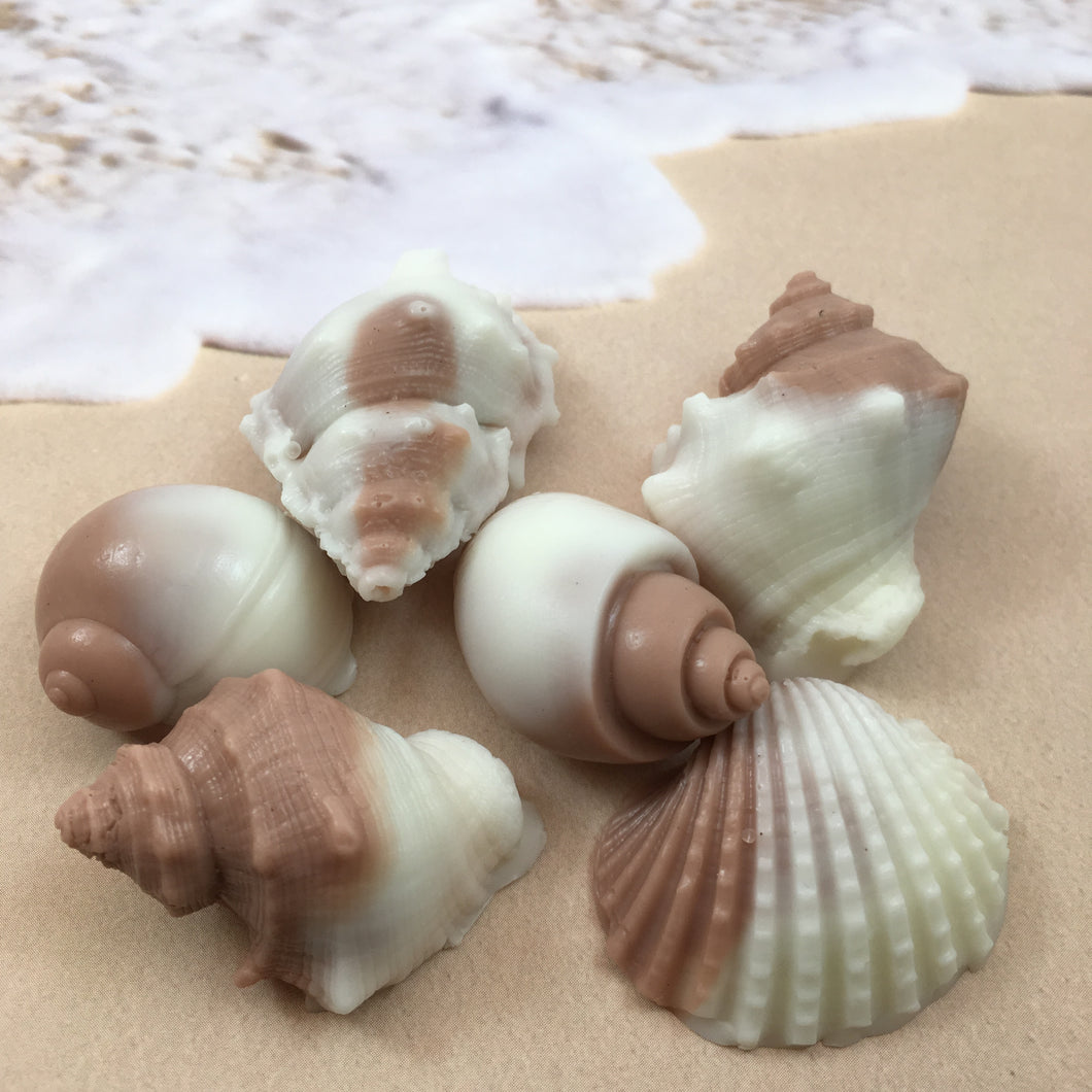 Shell Shaped Soap | 6 Shell Soaps | Shell Soap Set