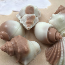 Shell Shaped Soap | 6 Shell Soaps | Shell Soap Set