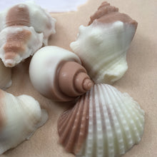 Shell Shaped Soap | 6 Shell Soaps | Shell Soap Set